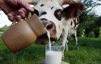 З 1 липня 2018 року почне діяти заборона на продаж "домашнього" молока