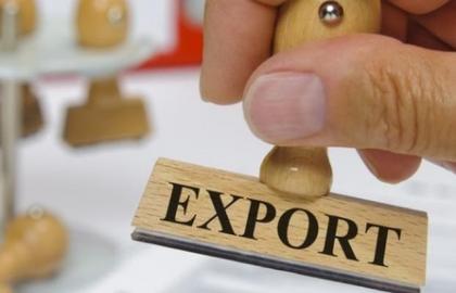 В Україні стало більше експортерів продуктів