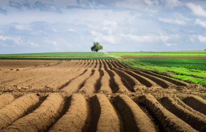 Фермери володіють 10% всіх аграрних земель в Україні