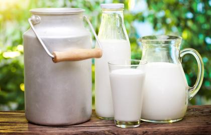 Аграріям, які хочуть займатися молочним бізнесом, вже зараз треба об’єднуватися в кооперативи, – Держпродспоживслужба