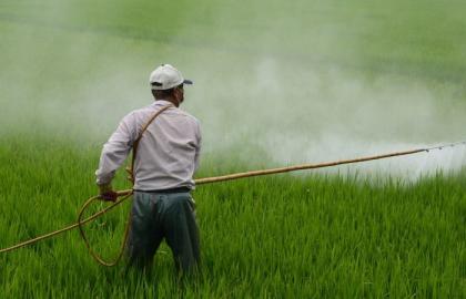 ФАО предлагает решение для оценки рисков использования пестицидов 