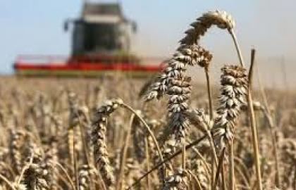 В Украине хотят создать спецфонд по страхованию аграриев 