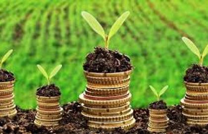Amount of budget support for the agricultural sector can be increased to 12.4 billion UAH 