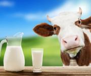 У січні-вересні 2017 року Україна виробила 8,1 млн т молока