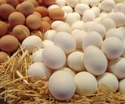 Why did Poland want Ukrainian eggs and how will this affect prices?