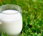 The state will support the improvement of the quality of milk from the population, without resorting to restrictions in the implementation