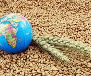 Індекс продовольчих цін ФАО залишається на стабільному рівні