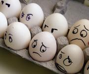 A price collusion on the chicken eggs market?