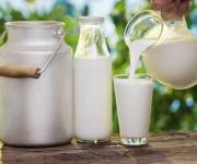 Невеликі ферми нарощують поставки молока на переробку