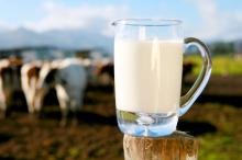 Тренди молочного ринку на 2016 рік