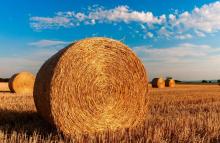 Експерти поставили «незадовільну» оцінку Мінагро щодо підтримки фермерських господарств та кооперативів