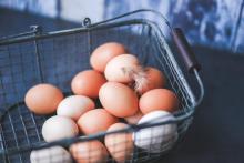 В Украине находится миссия Израиля по оценке системы госконтроля за производством яиц 