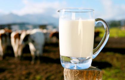 Тренди молочного ринку на 2016 рік