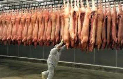 Експорт свинини за рік скоротився майже в 11 разів у грошовому еквіваленті