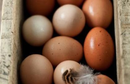 28 тис.т українських яєць потрапило за кордон