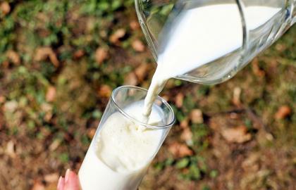 The production of milk in Ukrainian farms decreased by 0.9%