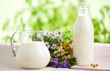 Якісного молока в Україні стало більше