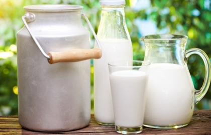 В январе-сентябре 2017 Украина произвела 8,1 млн т молока