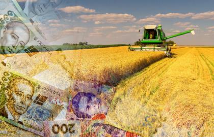 Divide the subsidies: what the agrarians want and what the government is for
