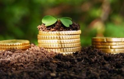 Agrarians received 2.31 billion UAH transfers from the budget for the period of 9 months 