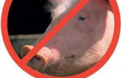 У Білорусі не хочуть бачити свинину з 6 областей України