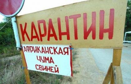 У Новій Одесі зафіксували чергови спалах АЧС