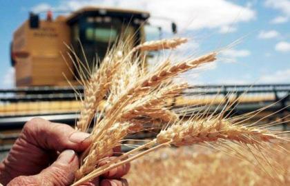 Аграрний бізнес в Україні: глобальні виклики та роль економічної науки