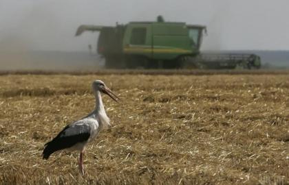 Agricultural production in Ukraine continues to decline