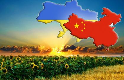 Достигнут значительный прогресс в сфере доступа украинских товаров АПК на китайский рынок