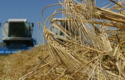 Сельхозпроизводство в Украине снизилось на 2,3%