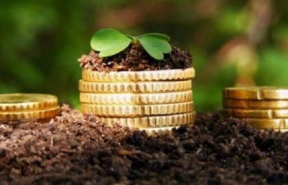 The agrarians received 635 million UAH of budgetary subsidies in November