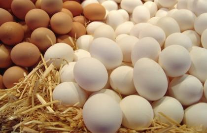 Why did Poland want Ukrainian eggs and how will this affect prices?