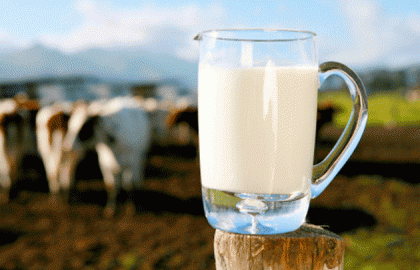 Milk market: prices rose again in October