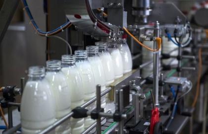 Оприлюднено прогноз виробництва молока на 2018 рік