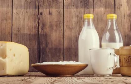 How to organize the production of dairy products