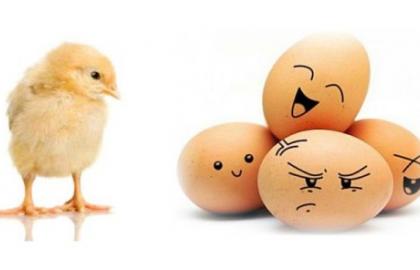 До конца года цены на куриные яйца вырастут на 10-15%