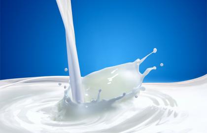 В Україні зменшиться виробництво молока