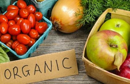 Ukraine has the opportunity to increase the production of organic products and its exports to the EU