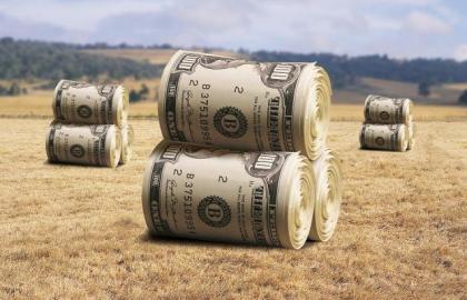 Скільки податків сплатили аграрії за секторами