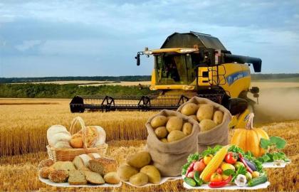 The Agrarian Committee considered the draft laws on insurance of agricultural products