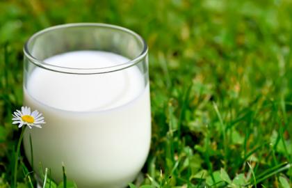 Держава буде підтримувати підвищення якості молока від населення, не вдаючись до обмежень в реалізації