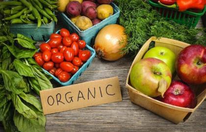 Ukraine will be able to increase exports of organic products