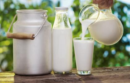 Small farms are increasing milk supply for processing