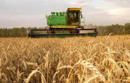 Германия инвестирует €3,2 млрд в сельское хозяйство и инфраструктуру Украины 