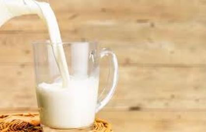 Думка: Нові стандарти прийомки молока працювати не будуть