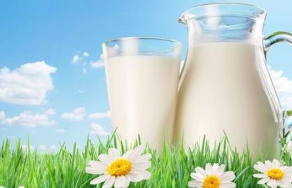 Світові ціни на молоко продовжать знижуватися 