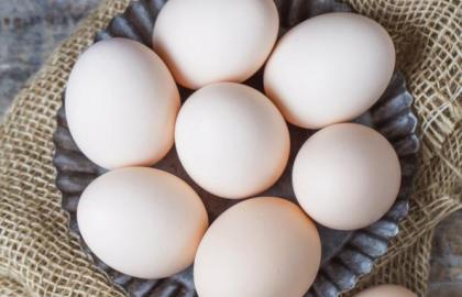 38% of eggs in Europe are Ukrainian