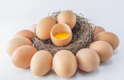 Україна у 2018 експортувала 29,3 тис. тонн яєць