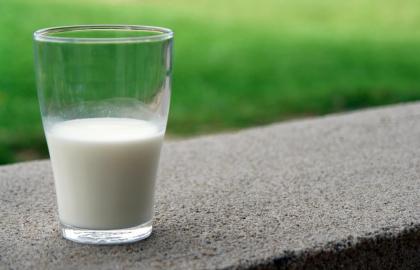Пік сезону виробництва молока. Що відбувається на ринку