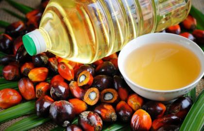"It is necessary to ban not palm oil, but trans fats" - expert